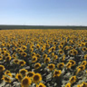 Meet your Posher, Melinda